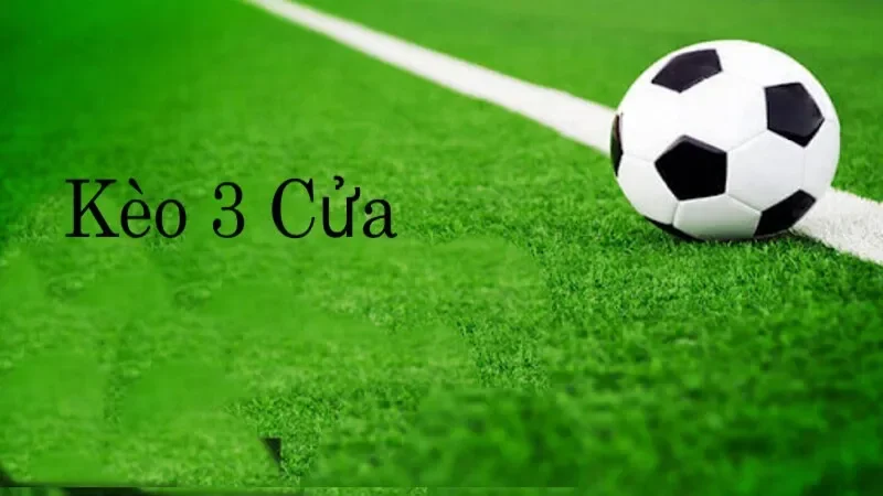 Khám Phá Kèo 3 Cửa Giúp Tạo Cơ Hội Chiến Thắng Cho Bản Thân Đặc điểm về tỷ lệ chấp của cả hai dạng kèo cược