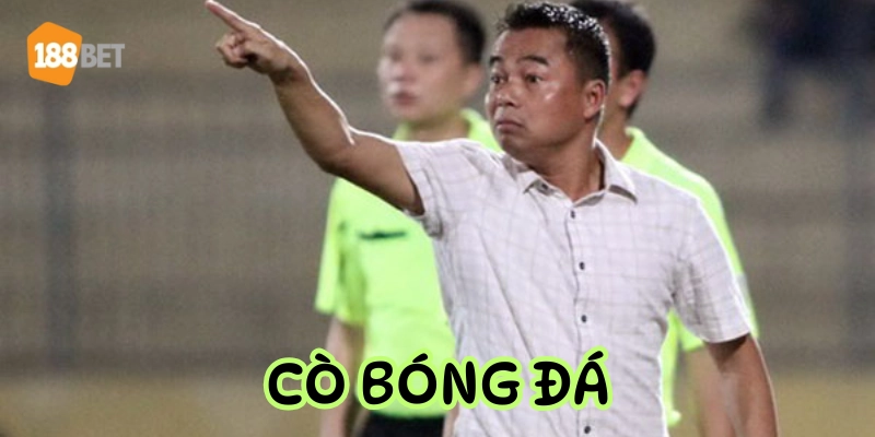 Vì Sao Ngôi Sao Lớn Luôn Cần Cò Bóng Đá? Câu Trả Lời Bất Ngờ Giải thích Cò Bóng Đá