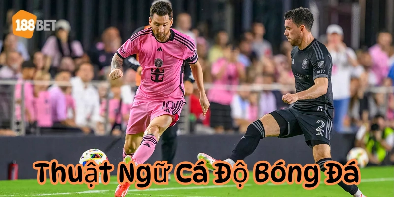 Bỏ túi những Thuật Ngữ Cá Độ Bóng Đá giúp bạn không bị lừa Lời khuyên cho tân thủ