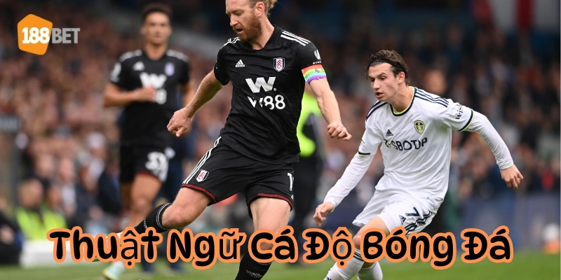 Bỏ túi những Thuật Ngữ Cá Độ Bóng Đá giúp bạn không bị lừa Thuật Ngữ Cá Độ Bóng Đá nâng cao