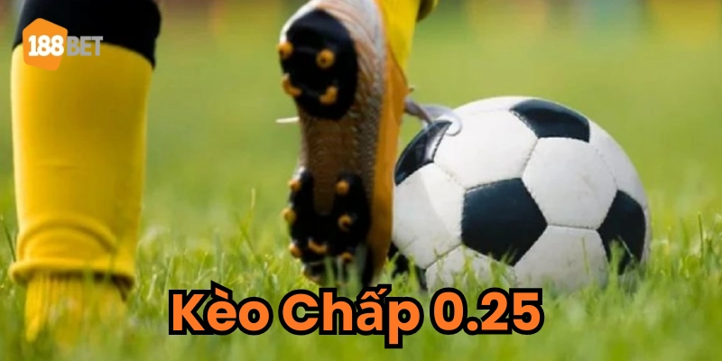 Kèo Chấp 0.25 và Ảnh Hưởng Đến Tỷ Lệ Cược Một Cách Chi Tiết Ý nghĩa đằng sau tỷ lệ cược