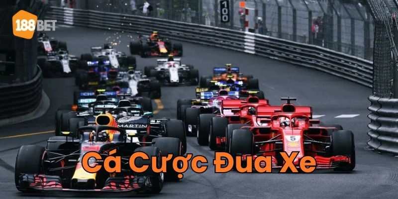 Cá Cược Đua Xe - Chiến Thuật Độc Quyền Giúp Bạn Thắng Lớn Thông tin quan trọng về Cá Cược Đua Xe