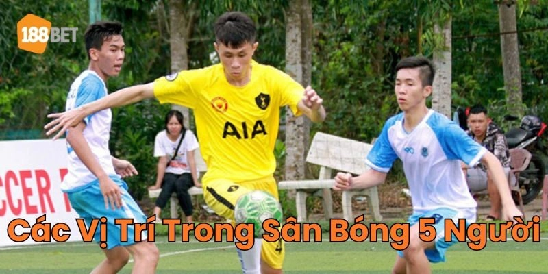 Giới Thiệu Các Vị Trí Trong Sân Bóng 5 Người Mới Nhất 2026 Thông tin về Các Vị Trí Trong Sân Bóng 5 Người