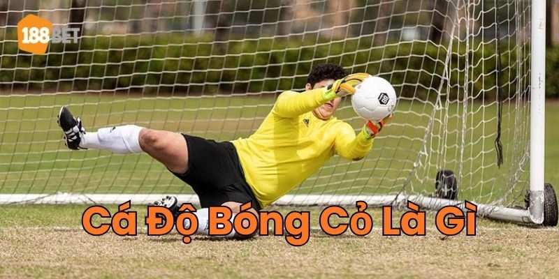 Cá Độ Bóng Cỏ Là Gì - Bí Quyết Đặt Cược Hiệu Quả Trả lời về Cá Độ Bóng Cỏ Là Gì