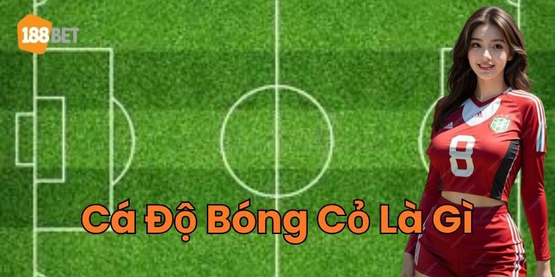 Cá Độ Bóng Cỏ Là Gì - Bí Quyết Đặt Cược Hiệu Quả Mẹo hay quan trọng về Cá Độ Bóng Cỏ Là Gì